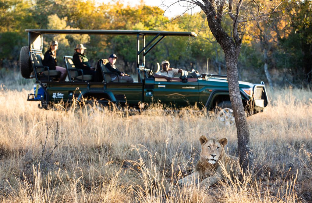 safari plains wildlife 1 safari plains wildlife 1