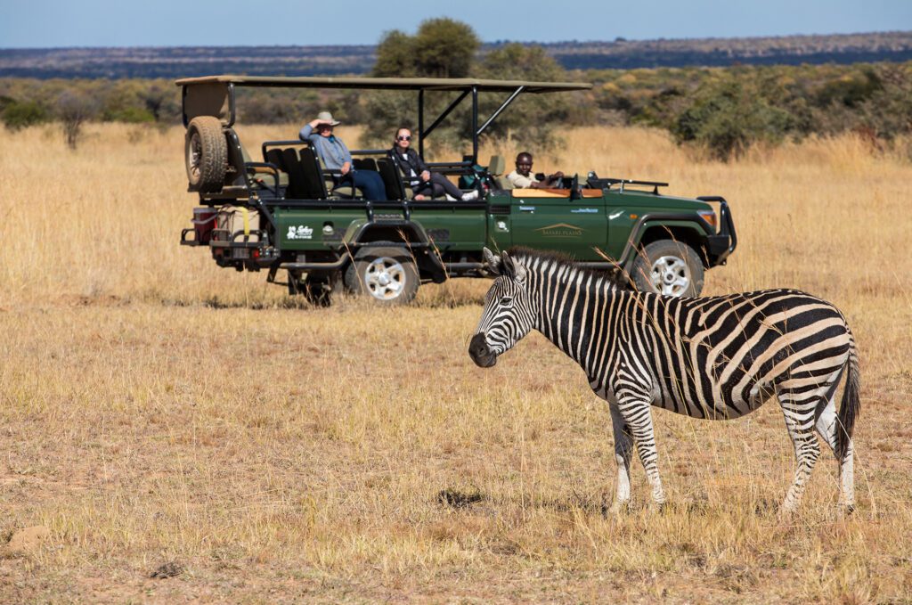 safari plains wildlife 4 safari plains wildlife 4